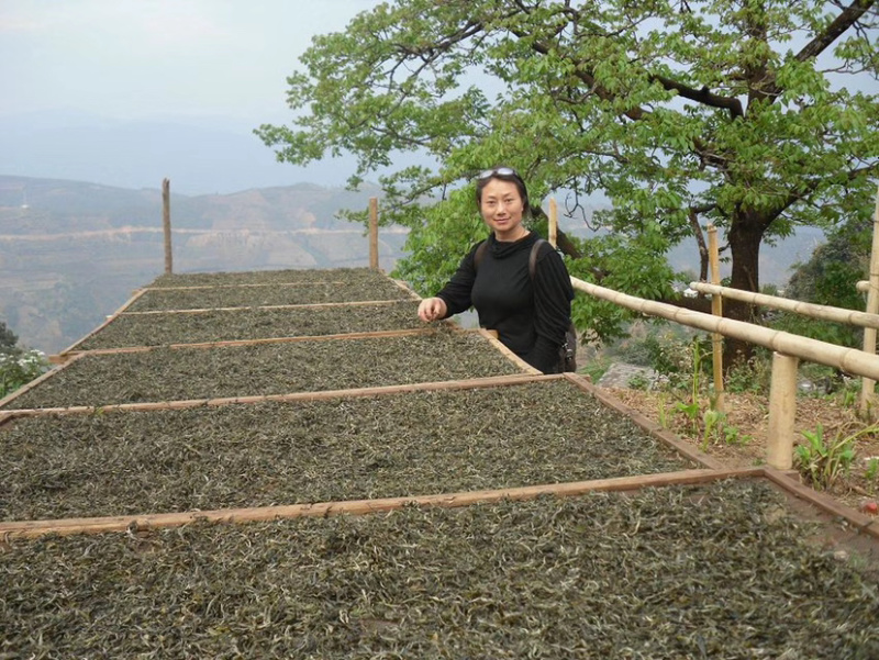 普洱茶熟茶昔归龙珠古树纯料一次个好喝方便携带