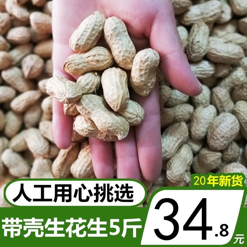 新鲜晒干带壳干花生原味生花生1500克包邮农家种植花生果