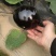 精品茄子苗一手货源量大从优