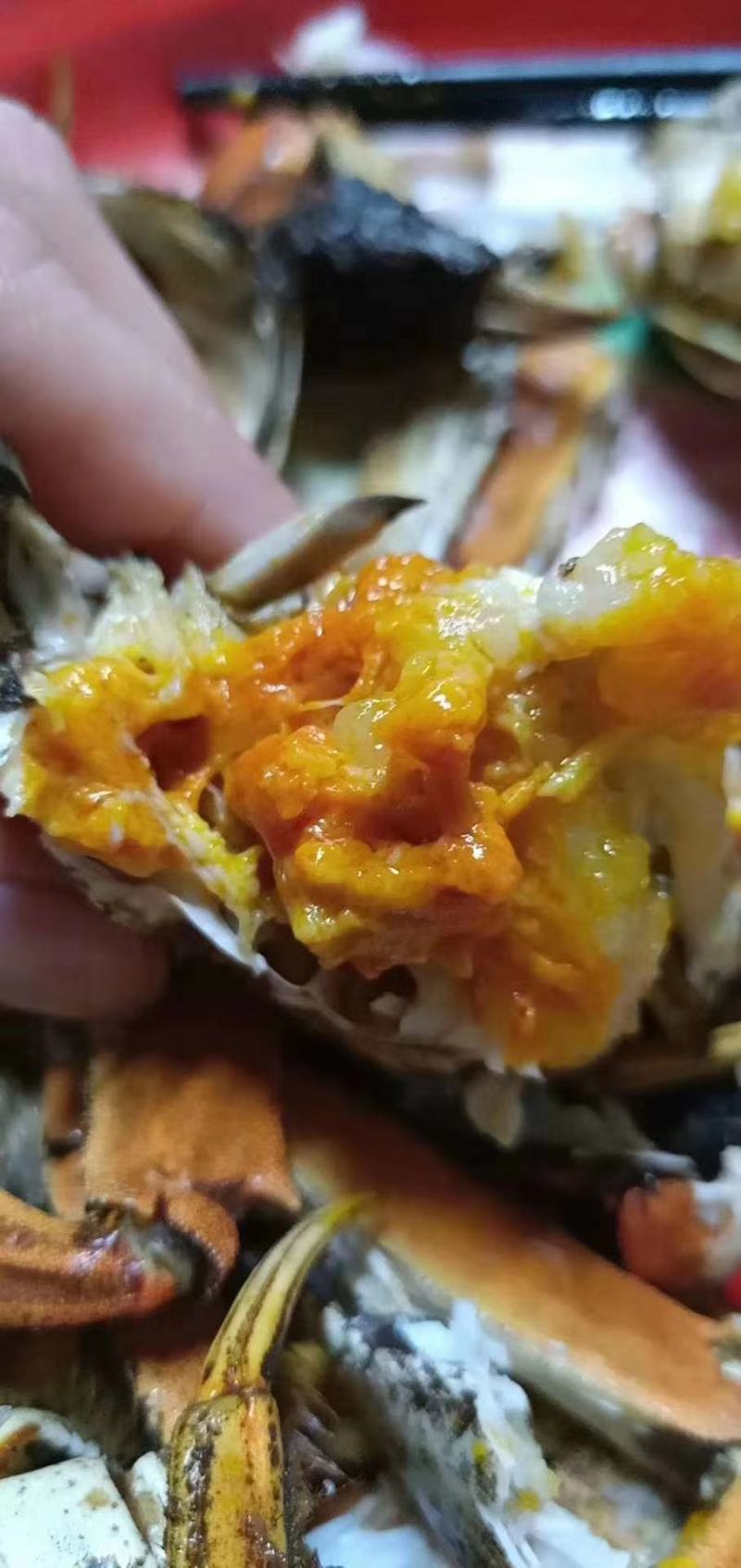 盘锦精品河蟹，老头蟹，六月黄多种规格，货源充足产地直发，