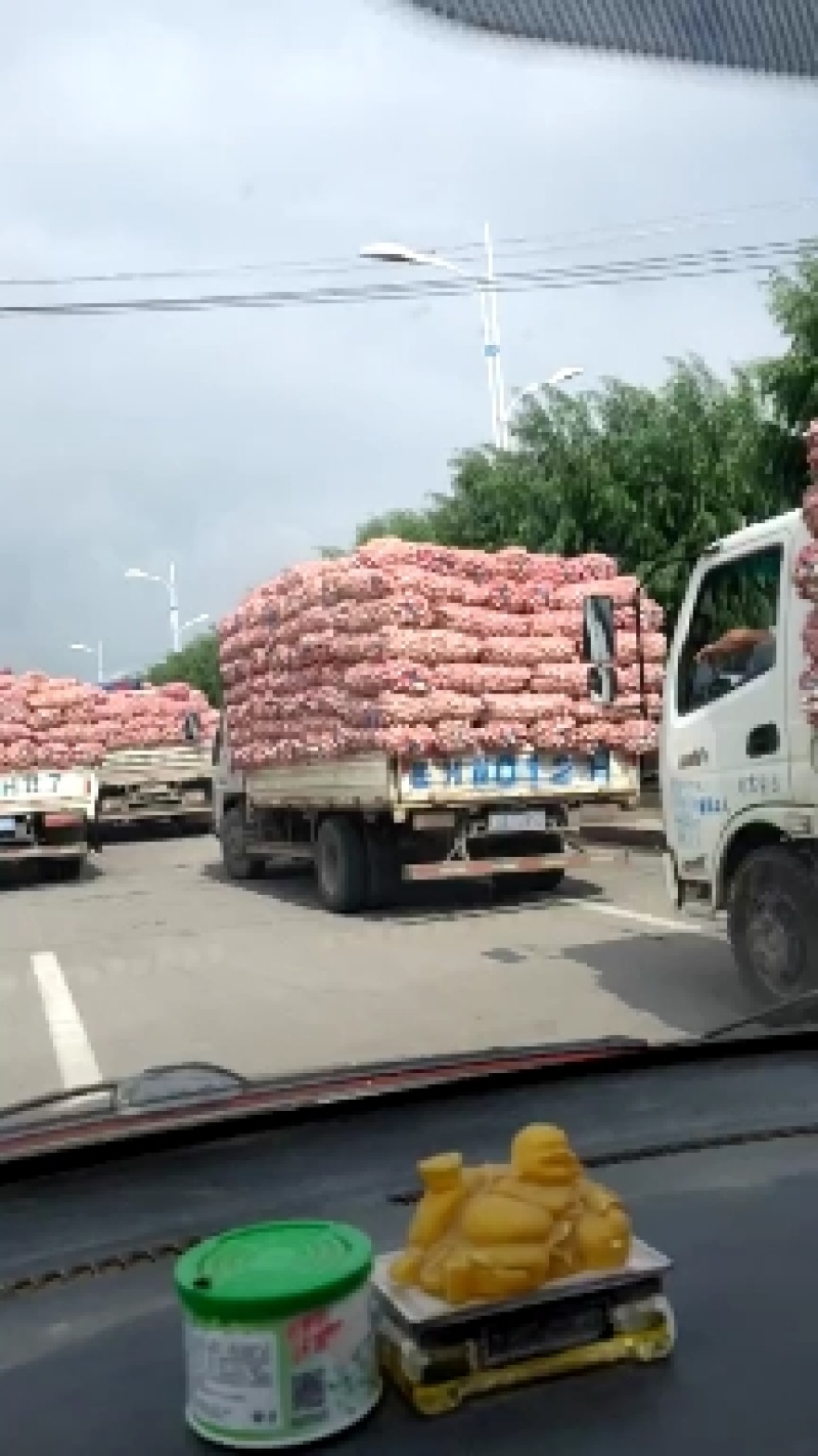 （实力供货）金乡大蒜，紫皮蒜产地直供，质优价廉，长年供应