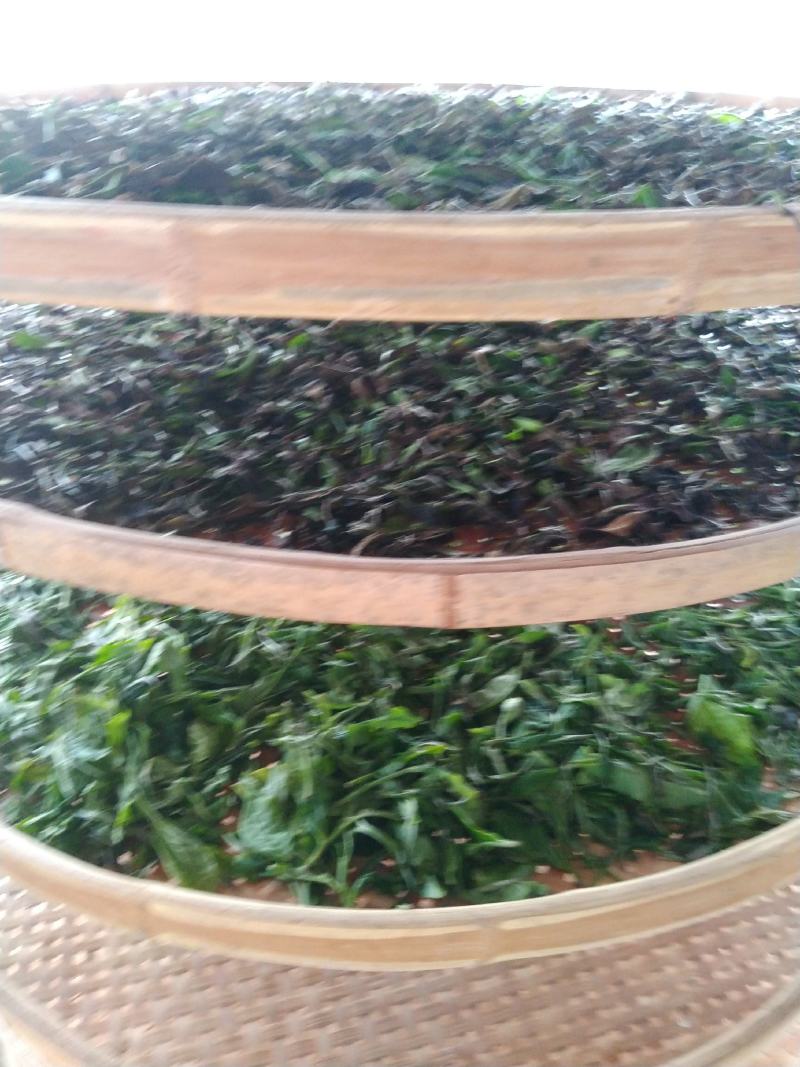 云南普洱茶勐库大叶茶白茶香甜可口