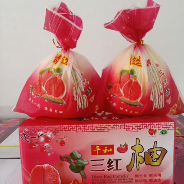 柚子