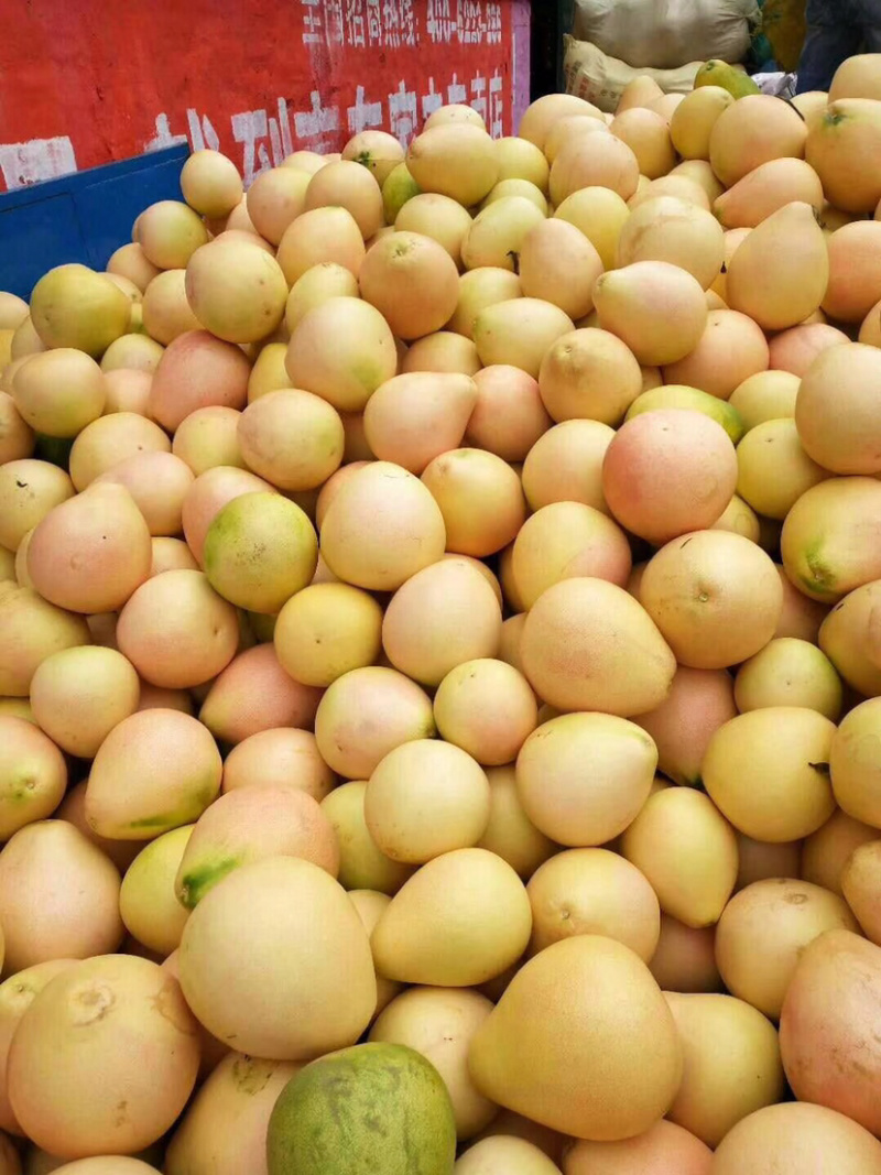 柚子