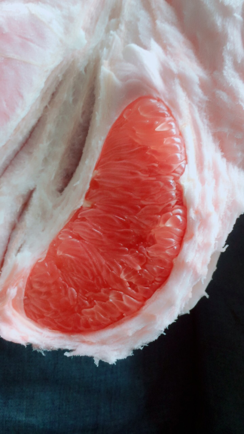 柚子