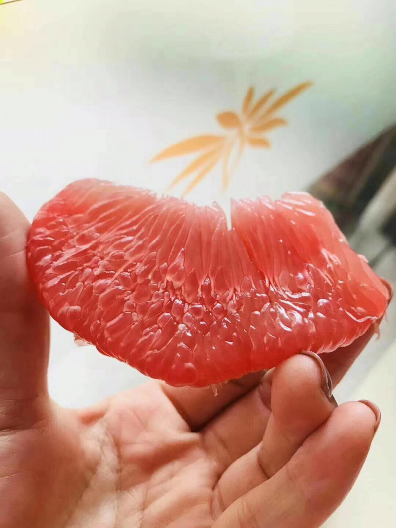 柚子