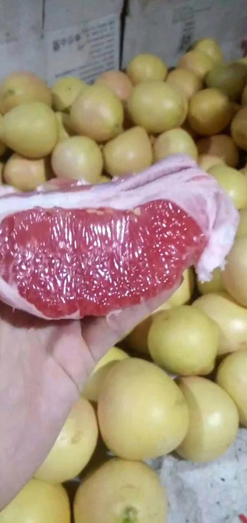 柚子