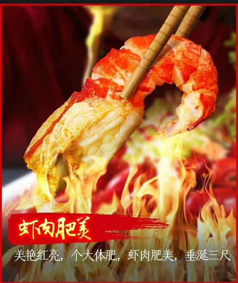 盱眙龙虾尾特级龙虾尾一级龙虾尾