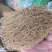 细辛根东北干货量大优惠2斤起包邮