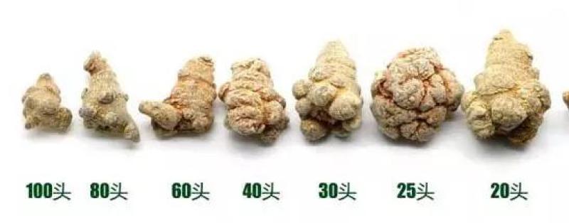 文山特产三七高海拔特产
