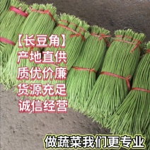 精品长豆角大量上市！！！！