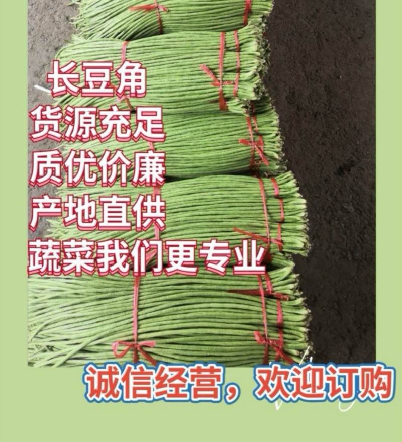 精品长豆角量大，质量保证，大量有货。。。。