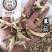 萆薢毕泻绵萆薢保庆药业批发萆薢实物拍摄