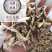萆薢毕泻绵萆薢保庆药业批发萆薢实物拍摄
