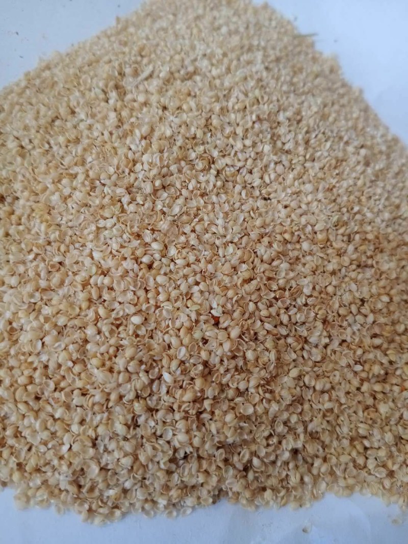 【有好货】小米壳，适合畜牧家禽，价格实惠，适合枕芯填充！