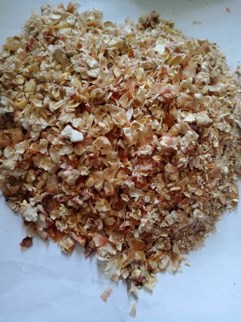 优质玉米皮，牛羊好料，大片玉米皮，养殖饲料
