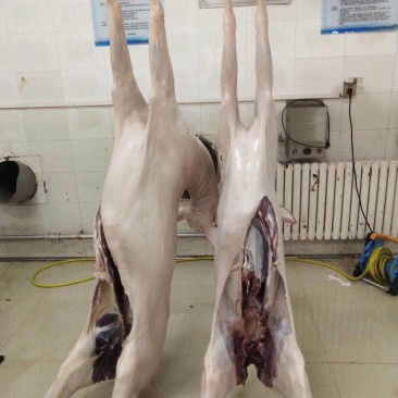 新鲜鹿肉，价格美丽，营养健康，滋补佳品，冷链运输，。
