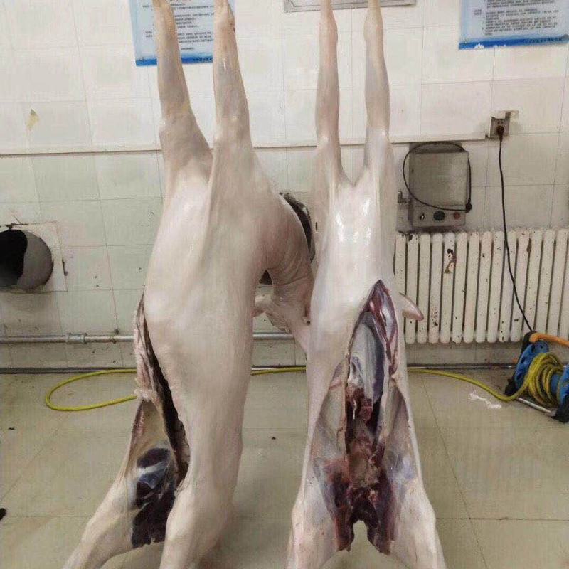新鲜鹿肉，价格美丽，营养健康，滋补佳品，冷链运输，。