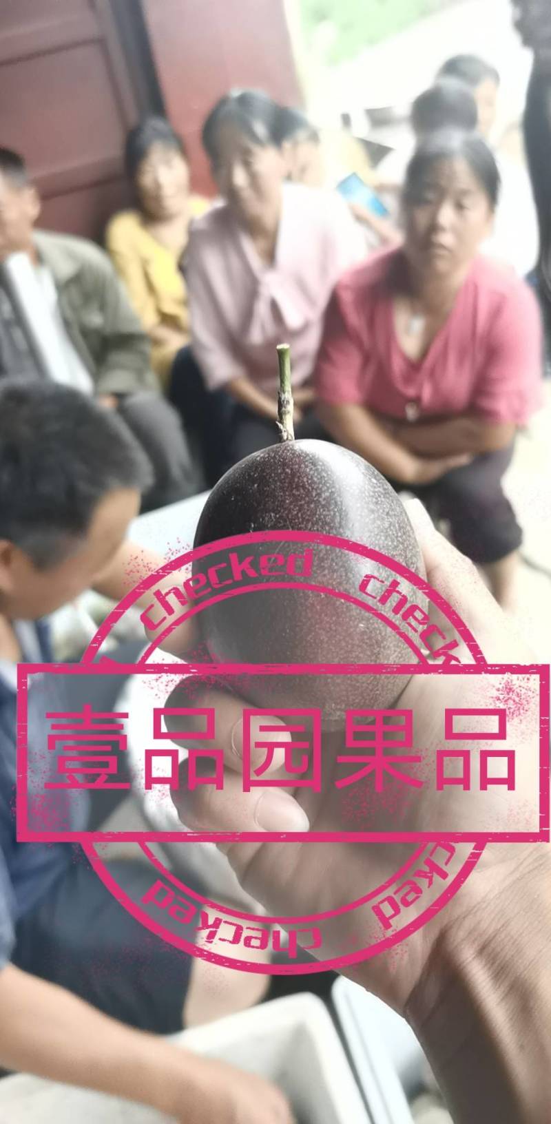 云南德宏百香果台农紫香批发一件代发