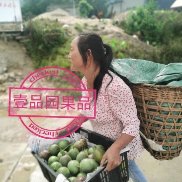 云南德宏百香果台农紫香批发一件代发