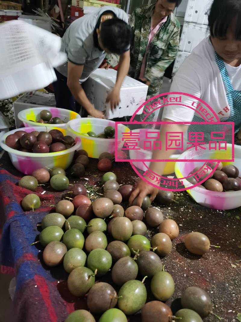 云南德宏百香果台农紫香批发一件代发