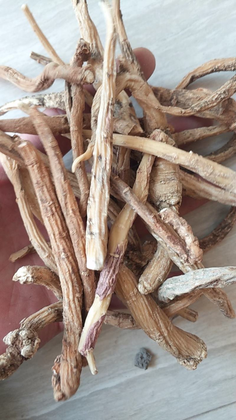 独定子，金铁锁，批发各种规格中药材