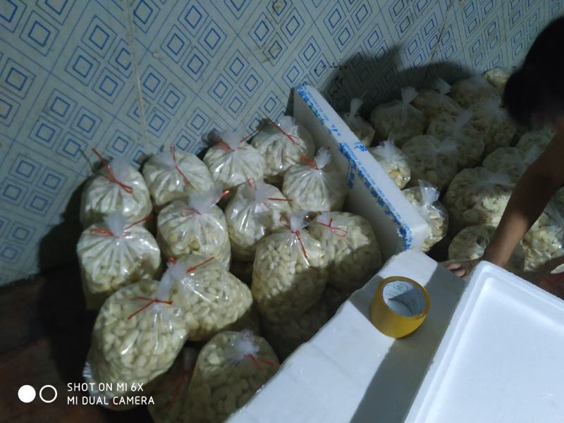 菱角米大别山湖北黄冈蕲春菱角肉老菱角嫩菱角