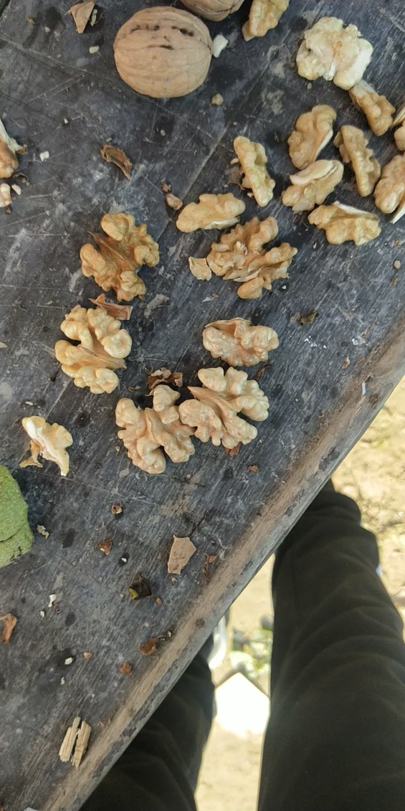 新货核桃仁上市了，欢迎新老客户订购！质量保证！价格优良！