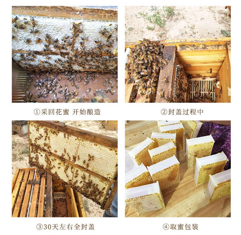 批发蜂巢蜜，铁箱蜂巢蜜，木框蜂巢蜜展会地摊热卖