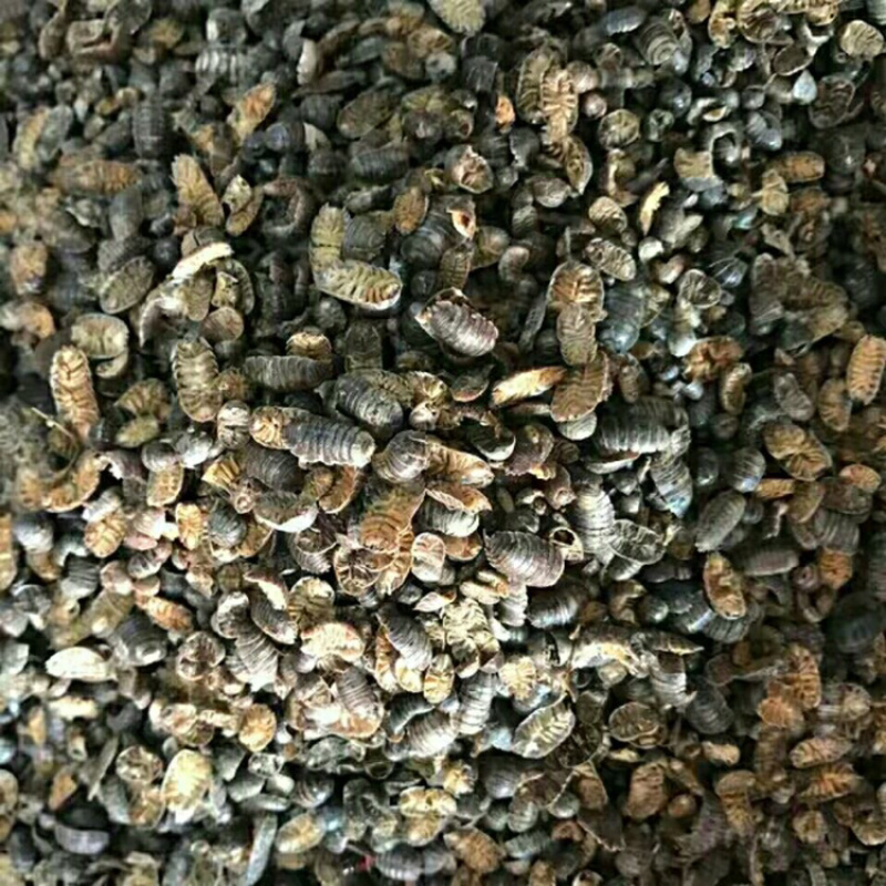 鼠妇虫潮虫鼠姑保庆药业批发潮虫鼠妇虫地虱