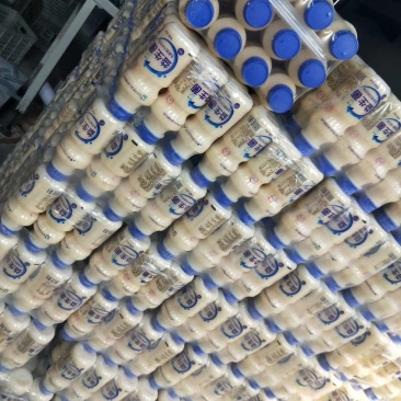 乳酸菌饮品系列塑包及礼盒生产销售全国招商