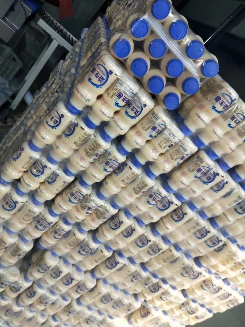 乳酸菌饮品系列塑包及礼盒生产销售全国招商