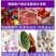 厂家直销冷库，从事装配式冷藏库、冷冻库、速冻库、保鲜库的
