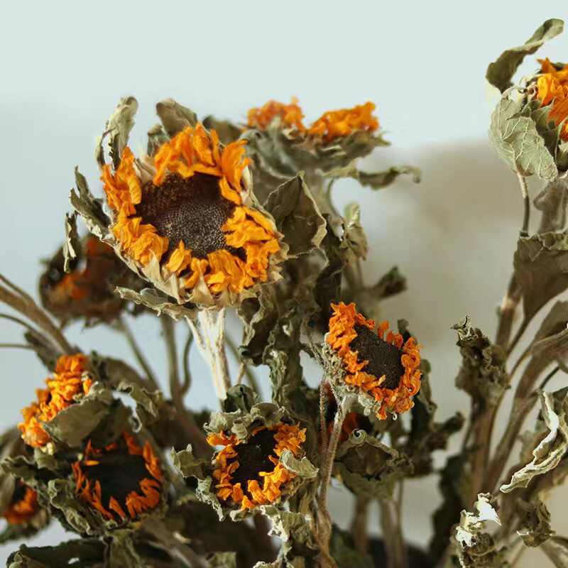 云南向日葵干花花束自然风干花艺