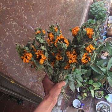 云南向日葵干花花束自然风干花艺
