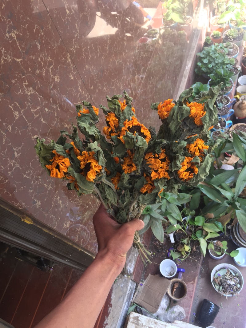 云南向日葵干花花束自然风干花艺