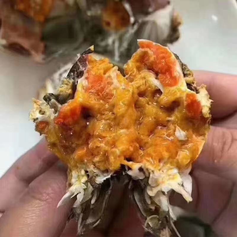 诚信经营盘锦稻田蟹，我是来自盘锦的养殖户，关注我，相信我