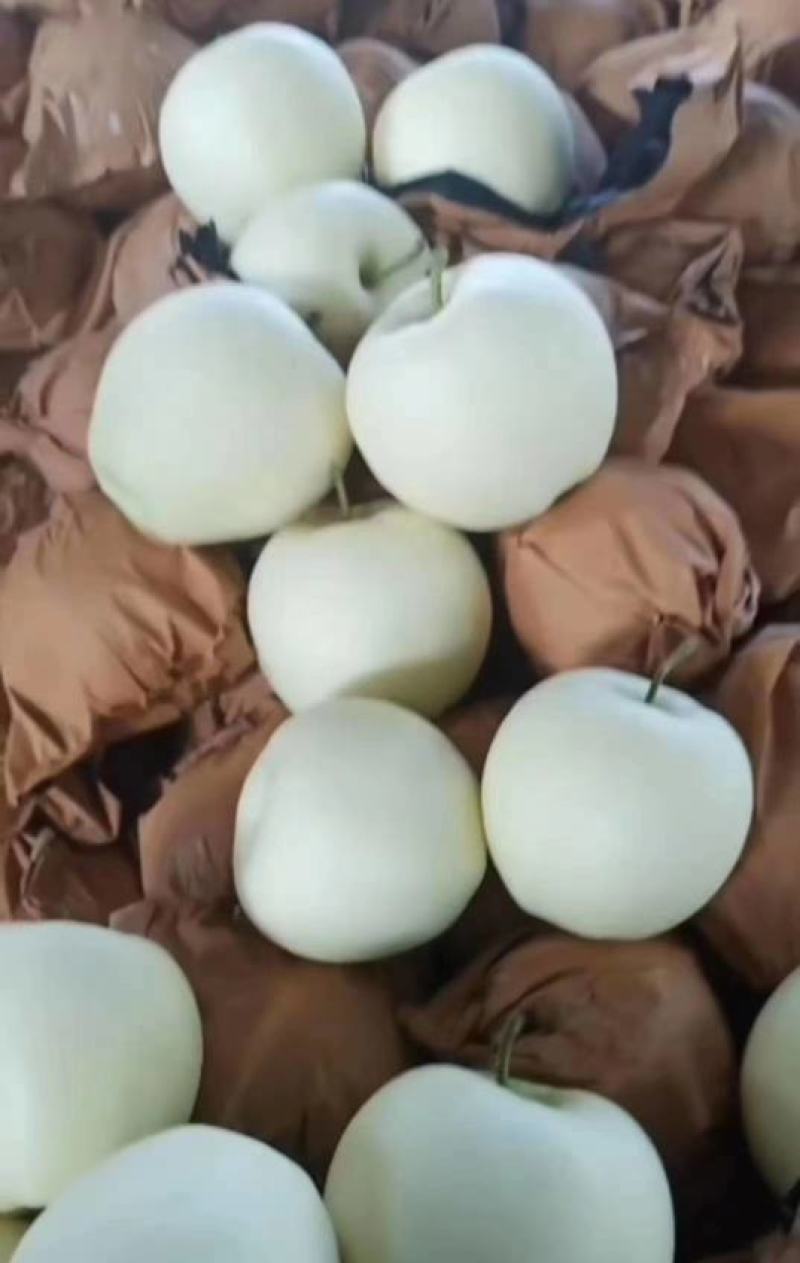 绥中县苹果黄元帅冷库直出，皮毛干净大个白专业代发