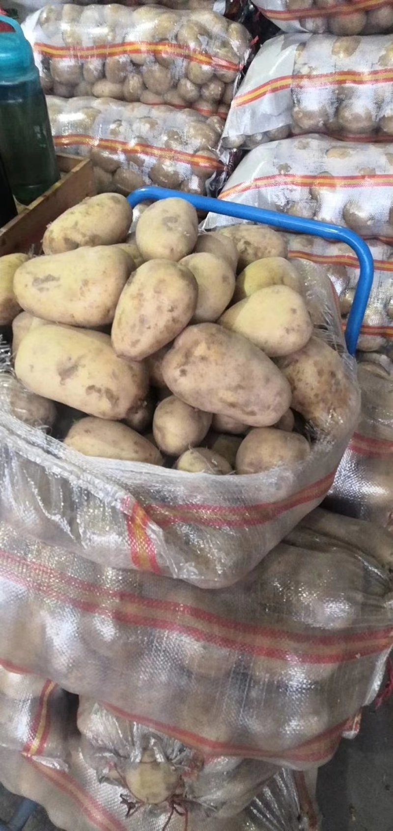 土豆