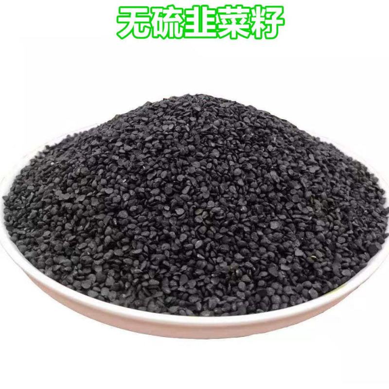 韭菜子药用精品货好量大正品保证不满意可以退换货