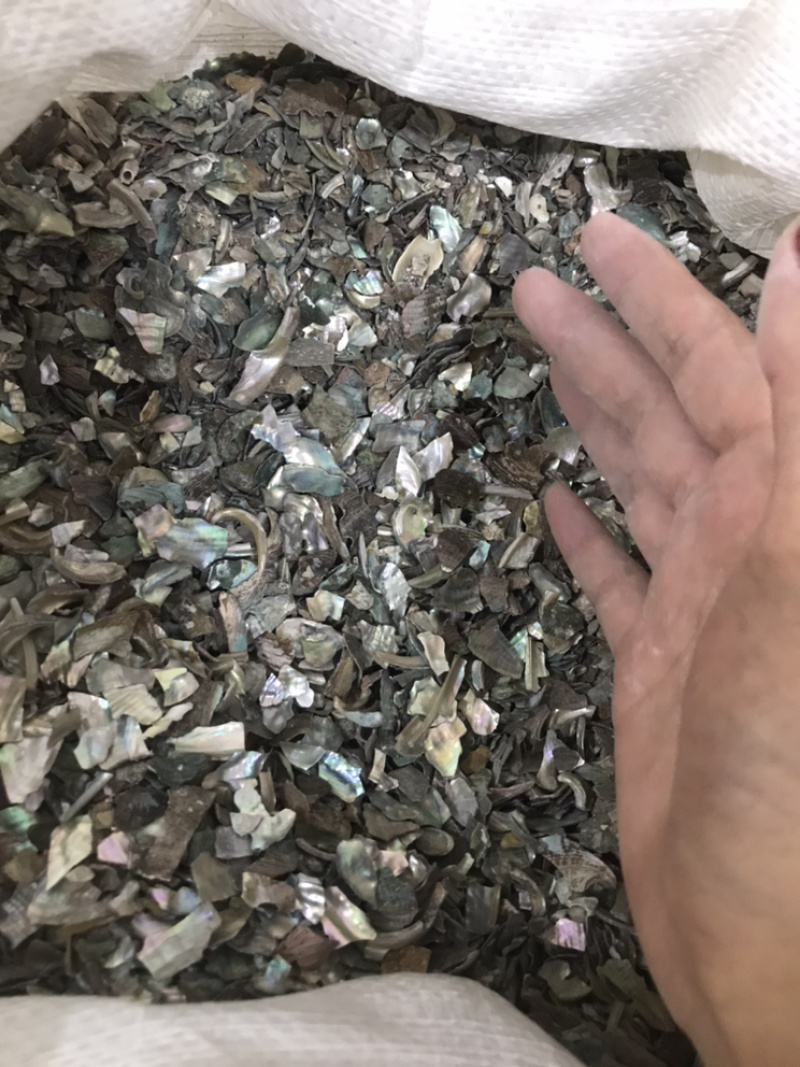 石决明石决明颗粒另有石决明粉现货保庆药业批石决明