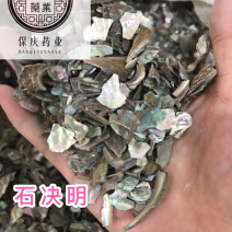 石决明中药材石决明保庆药业批发石决明