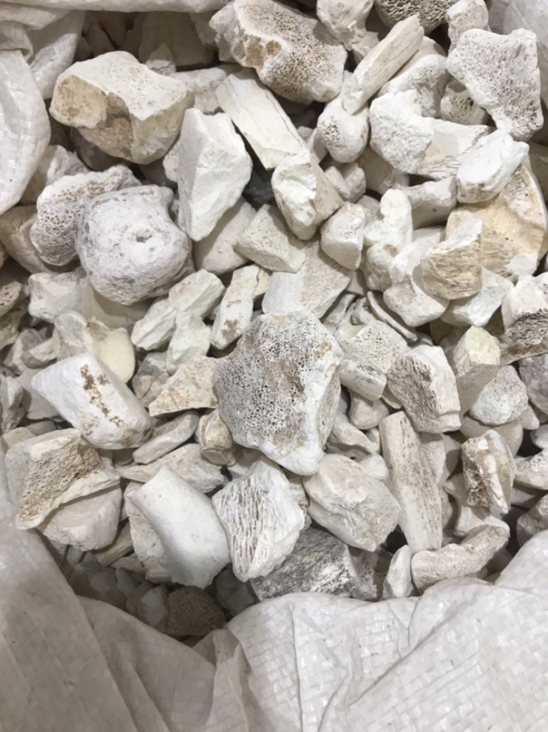 龙骨生龙骨保庆药业批发龙骨正品龙骨非假货