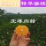 四川蜜橘大量上市，优质货源，电商社区市场大量有货