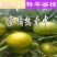 四川蜜橘大量上市，优质货源，电商社区市场大量有货