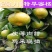 四川蜜橘大量上市，优质货源，电商社区市场大量有货