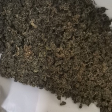 绞股蓝大量批发零售产地直供