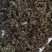 绞股蓝大量批发零售产地直供
