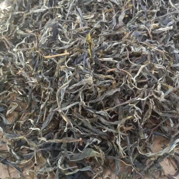 普洱茶2020年秋茶生茶