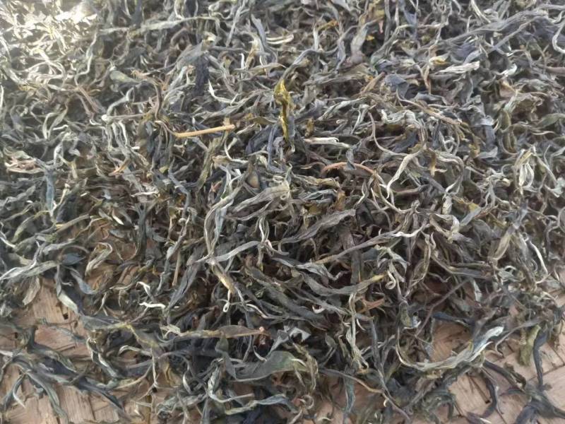 普洱茶2020年秋茶生茶
